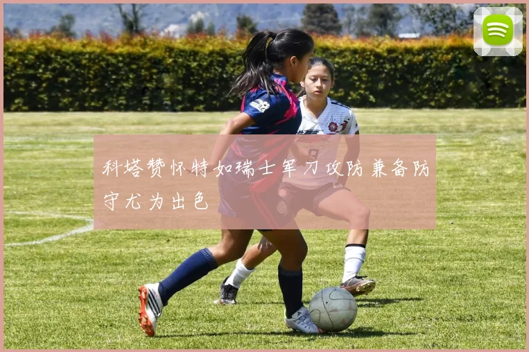 科塔赞怀特如瑞士军刀攻防兼备防守尤为出色